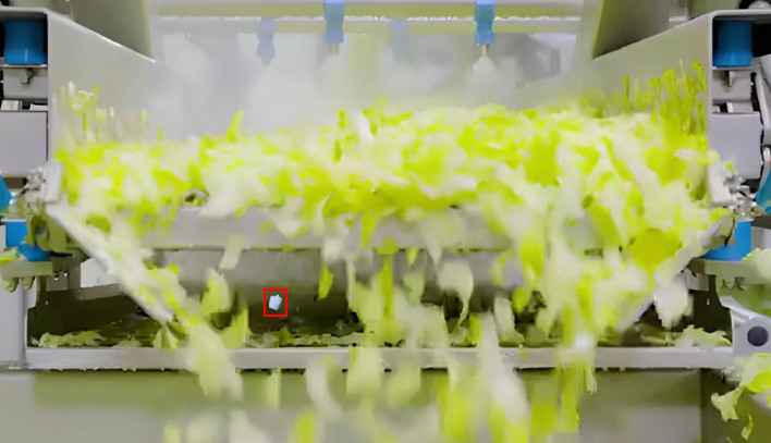 Anomaly detection in salad